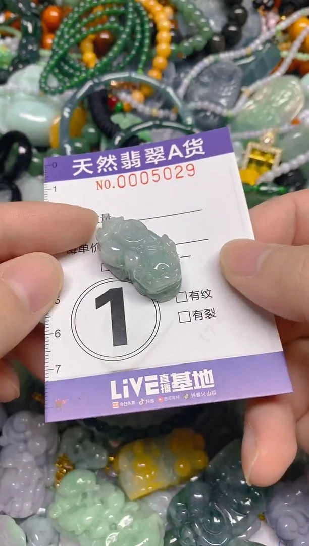 颈饰未镶嵌翡翠0005029