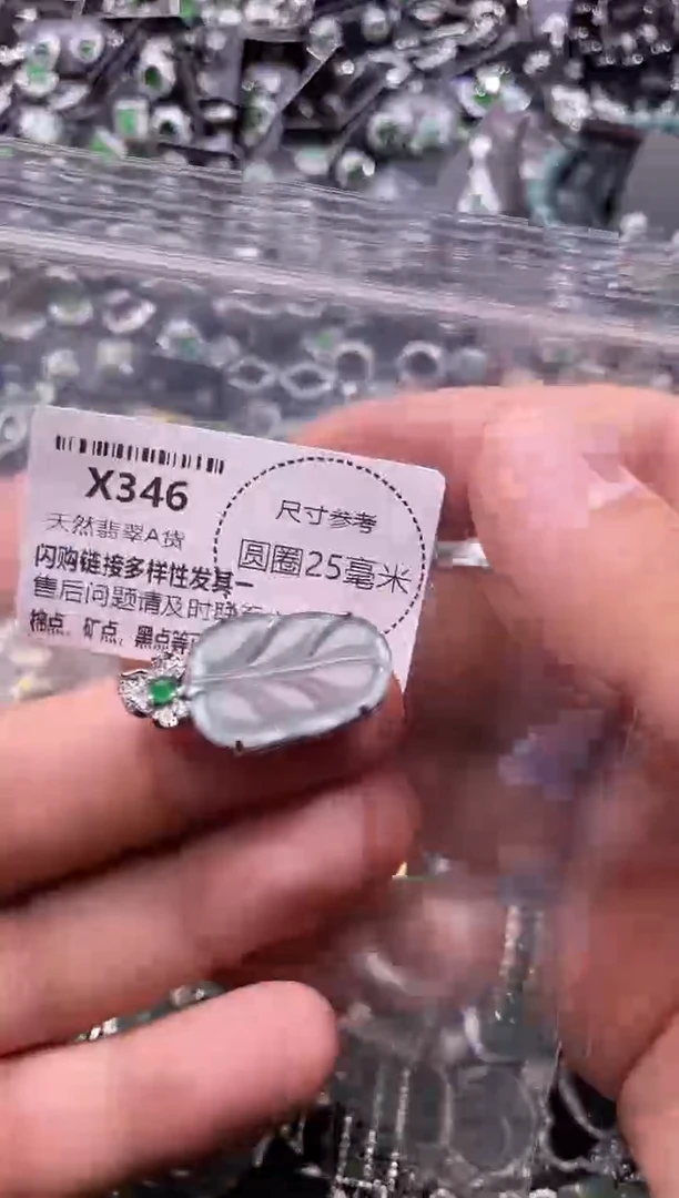 翡翠未镶嵌颈饰X346吊坠