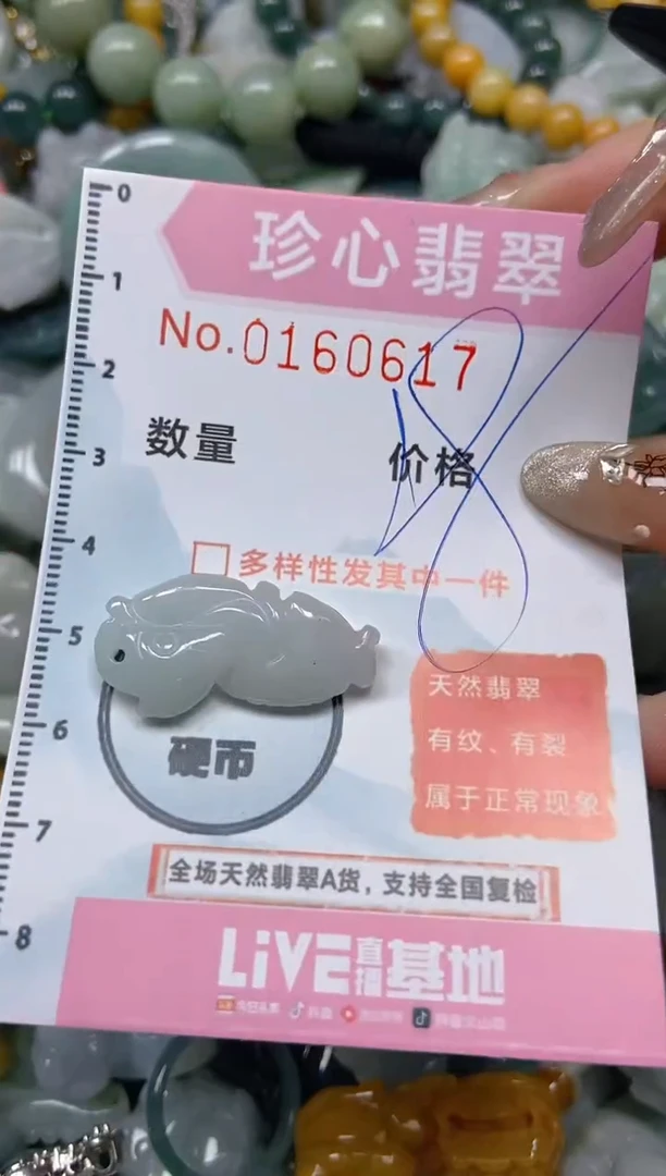 【闪购商品】翡翠颈饰未镶嵌闪购0160617