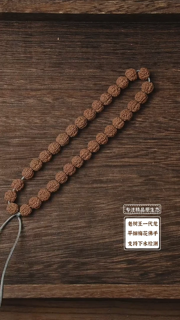 金刚菩提吊坠野生盘龙