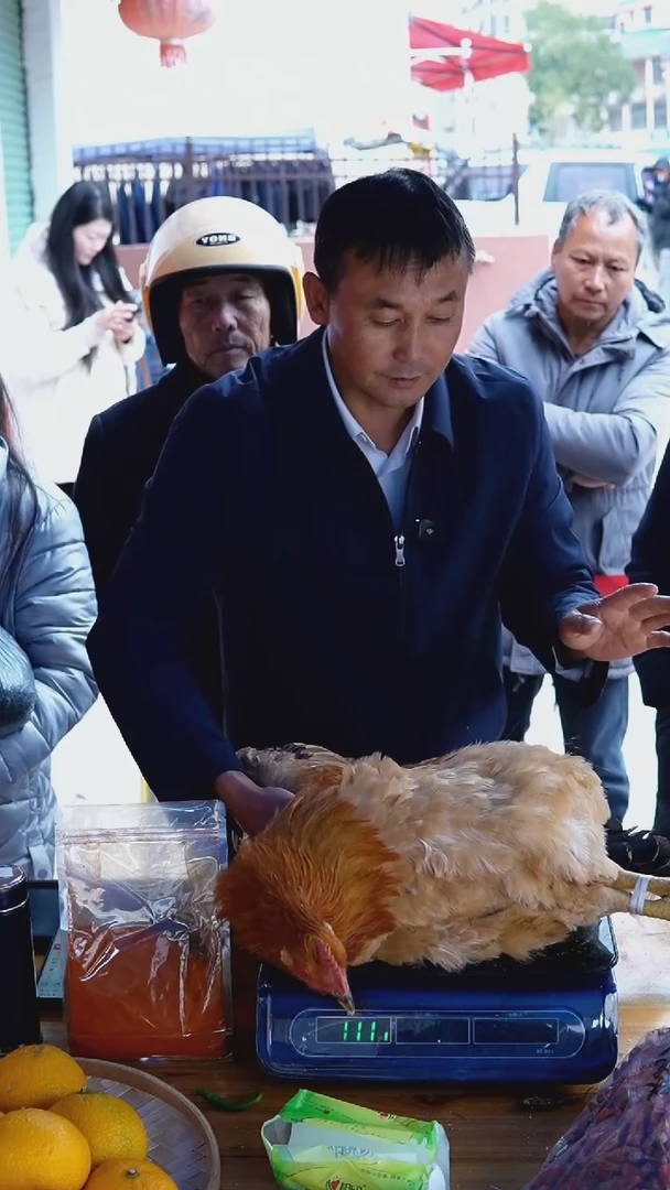 中国大陆淹鸡Y06（7.4斤）