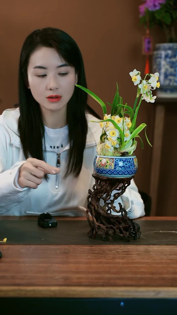 【闪购商品】盆景雕刻水仙