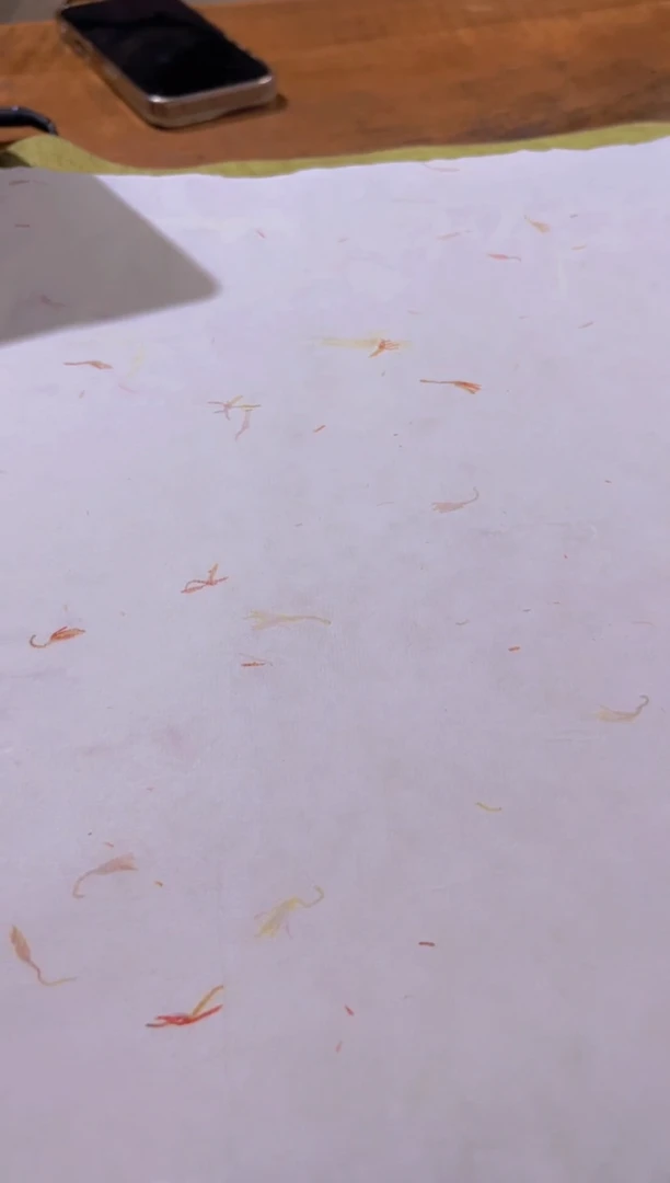 仿汉唐天然红花四尺对开*50张