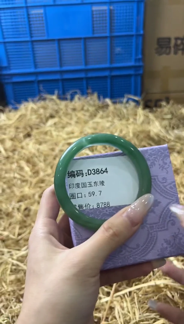 未镶嵌手镯石英质玉D3864