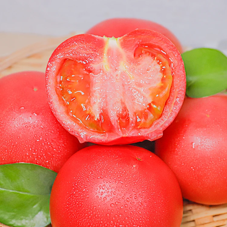 甘肃沙瓤西红柿 顺丰包邮3斤中果9-12个/5斤大果10-15个 酸甜多汁