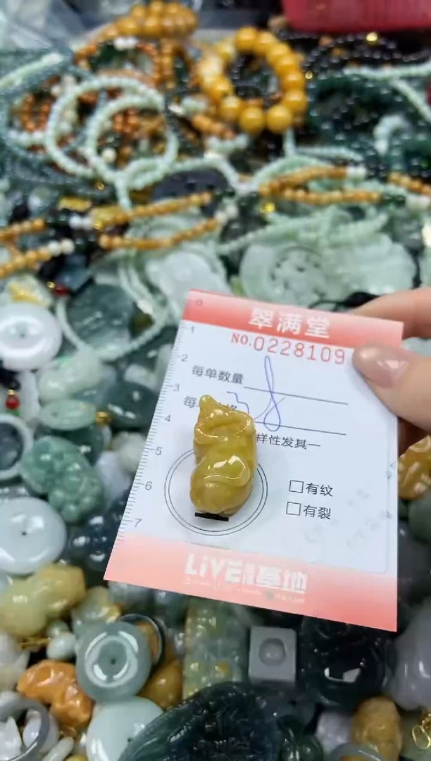 颈饰未镶嵌翡翠闪购0228109