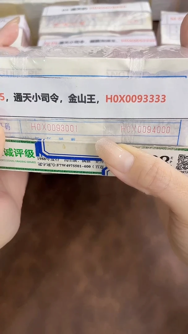 M 05，通天小司令，金山王，H0X0093333