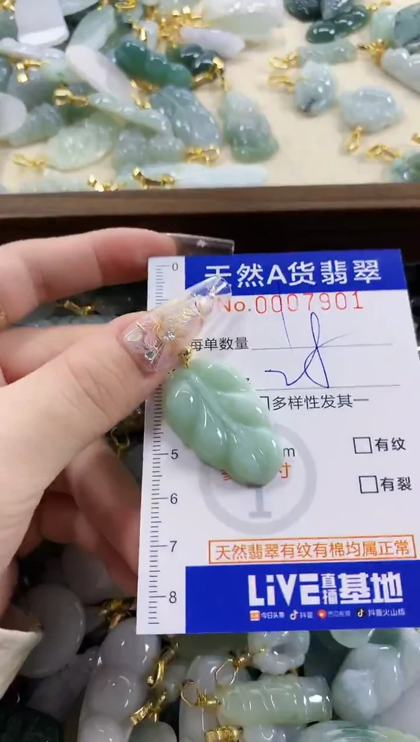 颈饰未镶嵌翡翠天然A货翡翠