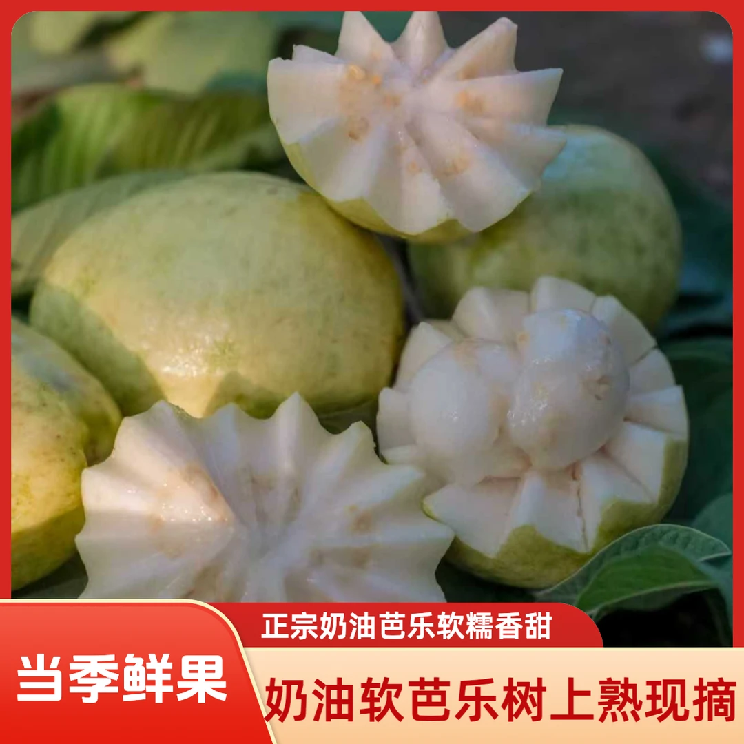 5斤奶油白心奶软芭乐软糯香甜白心白肉芭乐奶番石榴白心软糯口感