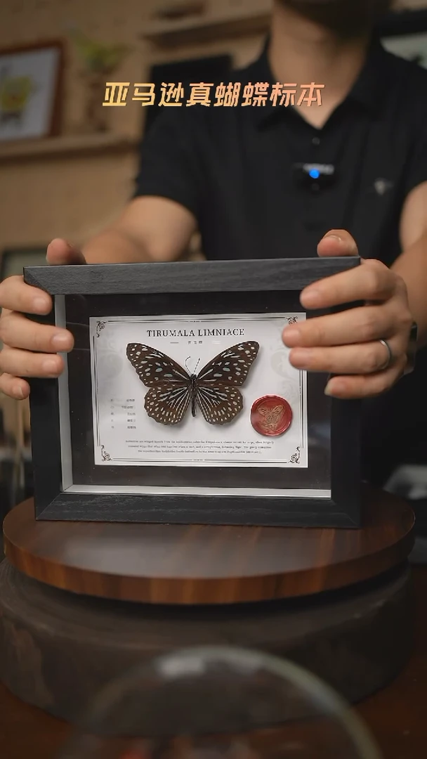 青斑蝶国风版八寸框