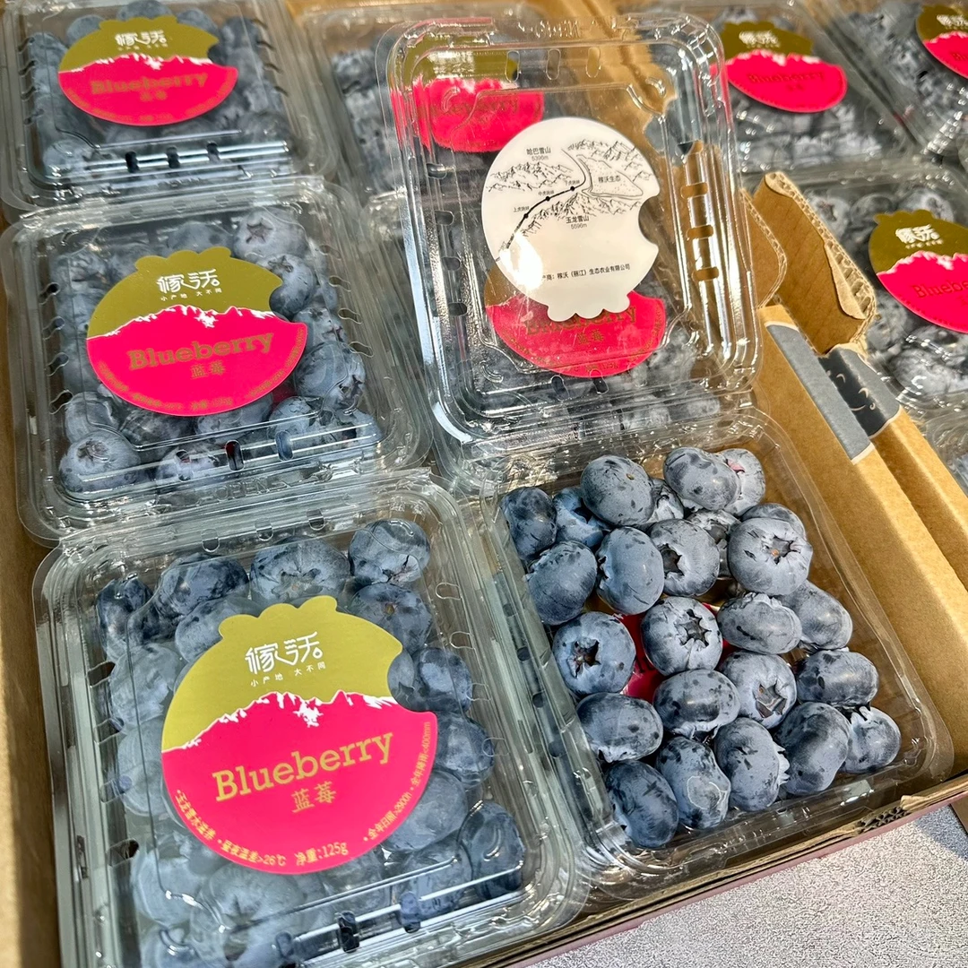 【稼沃雪山恬】云南高山蓝莓 玉龙雪山高山蓝莓