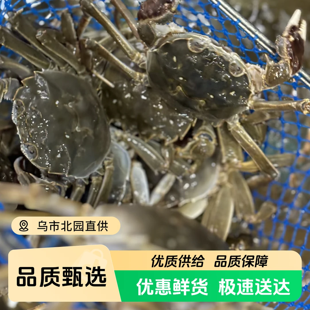 【富贵专属次日达】北屯全公蟹220克起步9-10只包邮到家