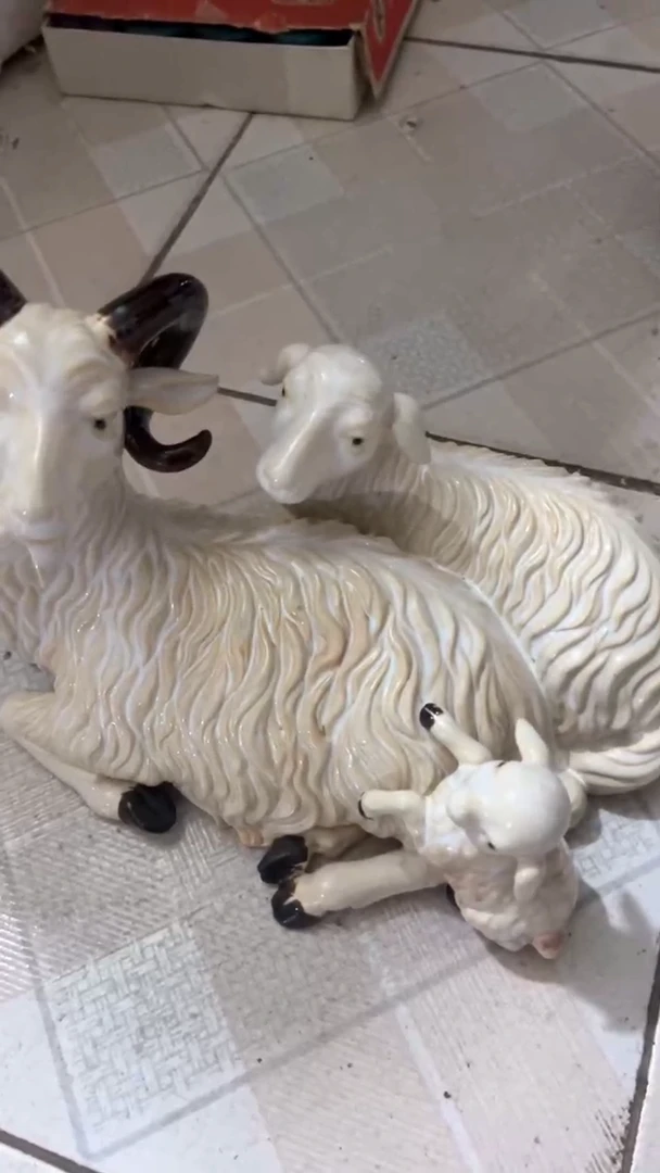 【闪购商品】488894896545648498+9