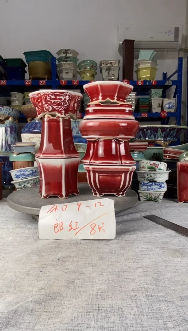 202709八只郎红花盆