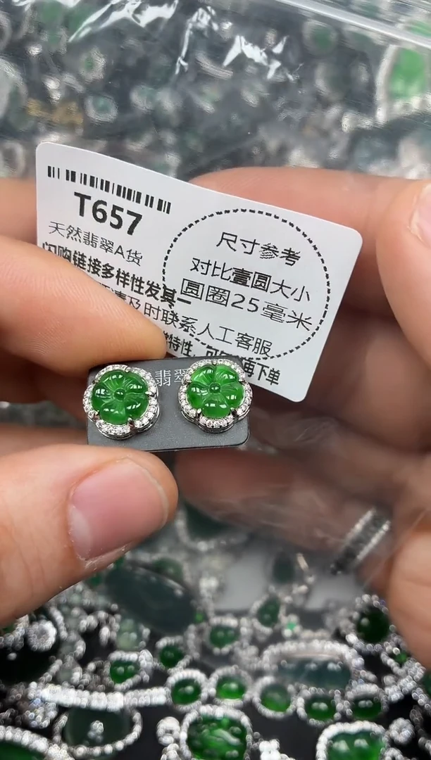 颈饰未镶嵌翡翠T657耳钉