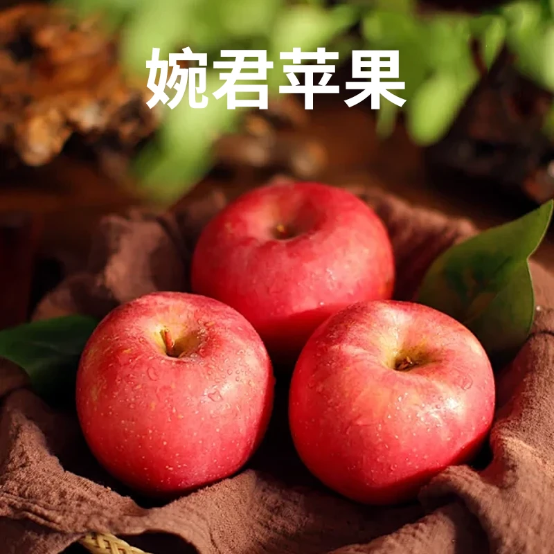 婉君苹果4.5斤/箱 脆甜多汁原产地直发
