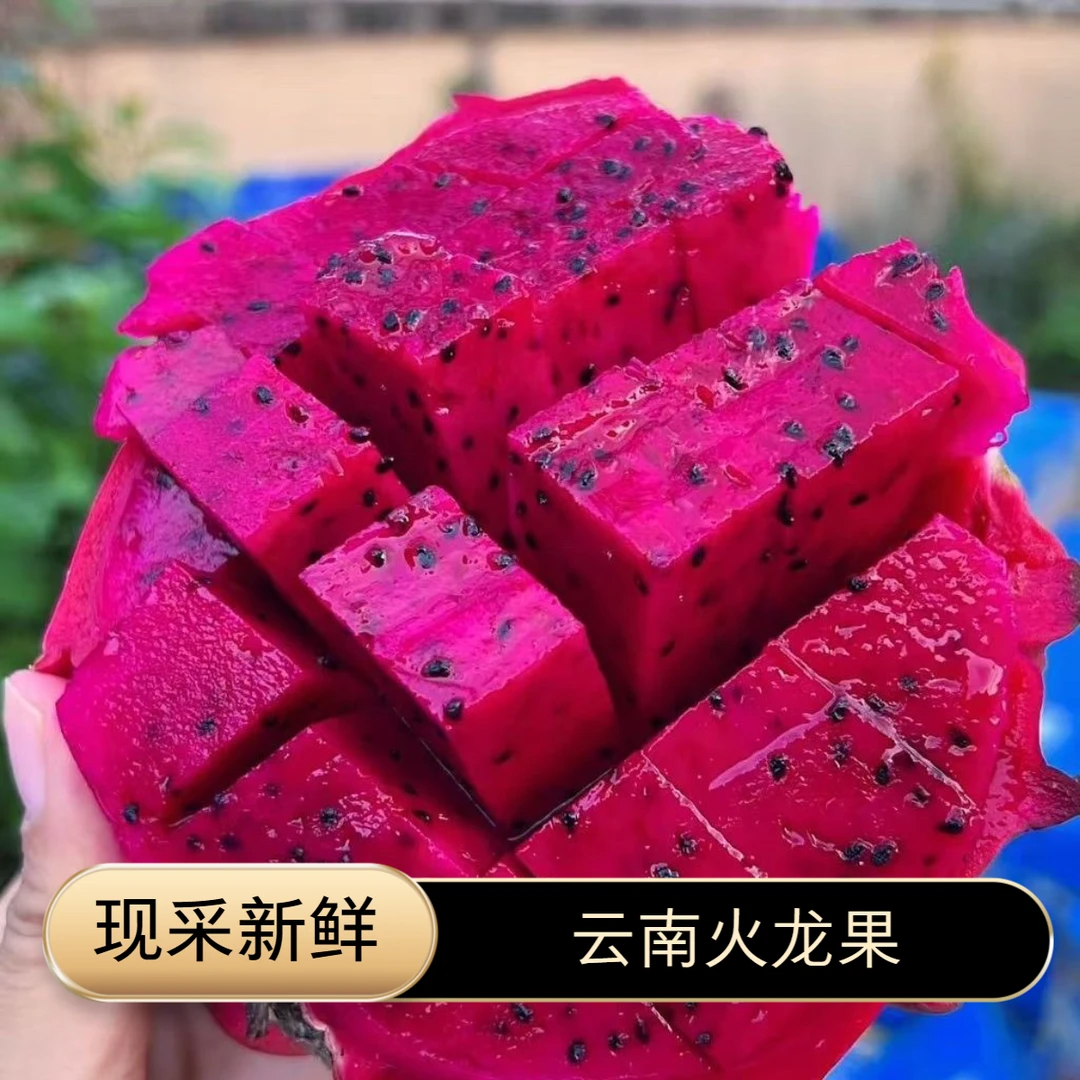 树熟现采现摘新鲜云南红心火龙果金都一号产地直发香甜多汁