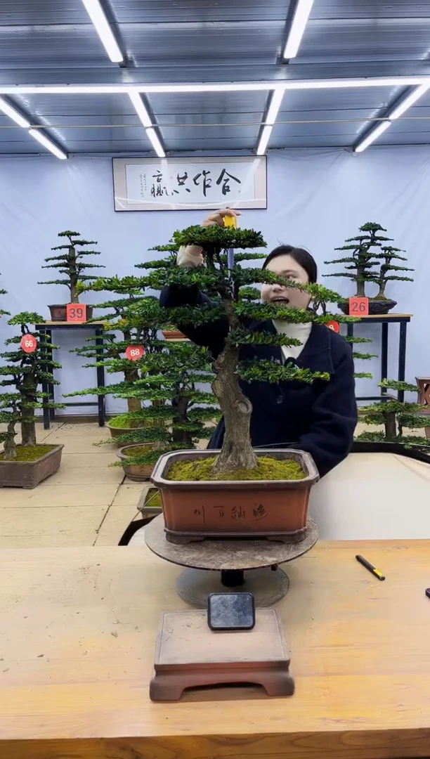 一物一拍，所见即所得