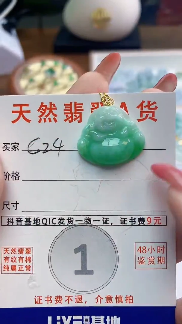 颈饰未镶嵌翡翠天然A货翡翠挂件