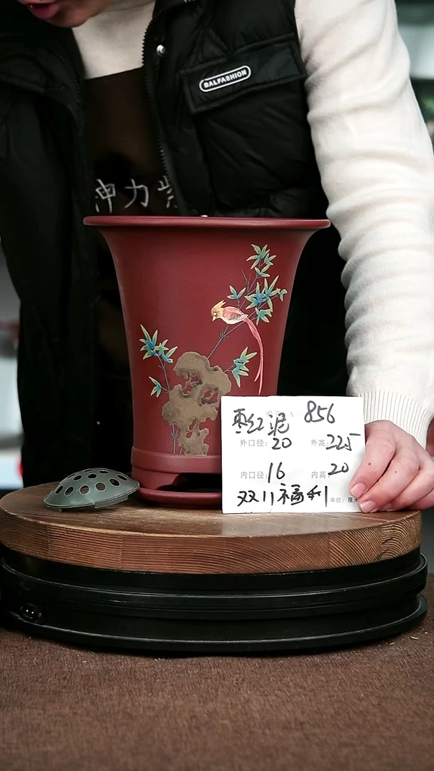 紫砂花盆花卉园艺856+Z