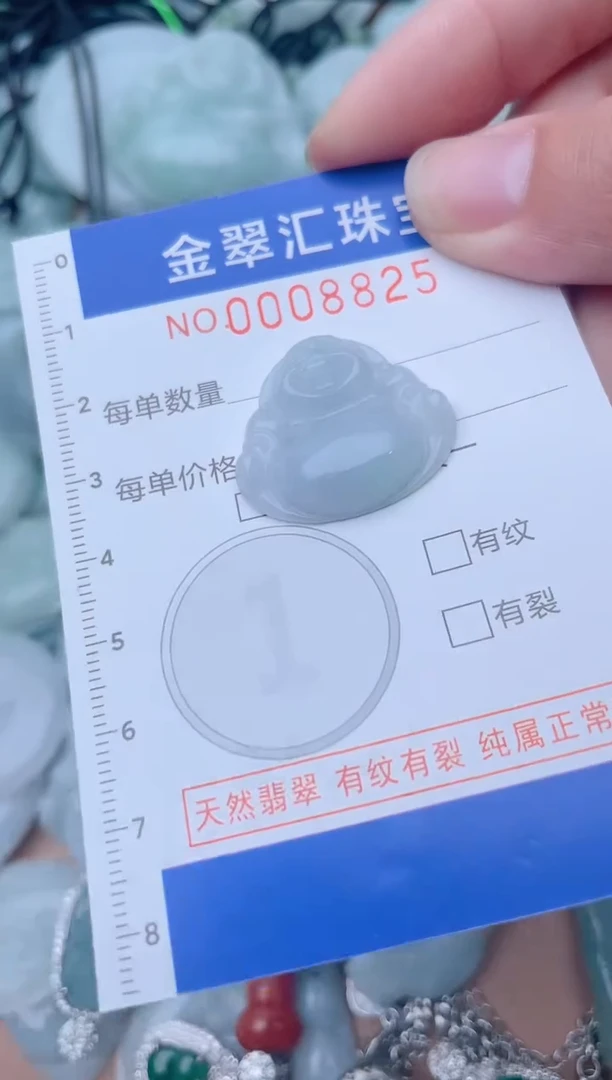 颈饰未镶嵌翡翠8825