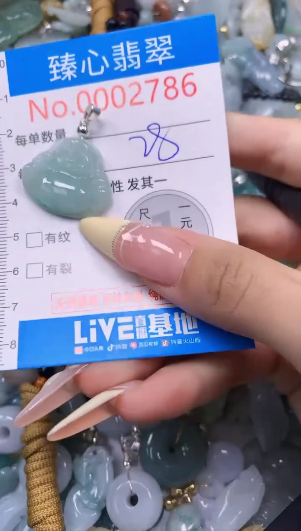 翡翠未镶嵌颈饰含绳0002786