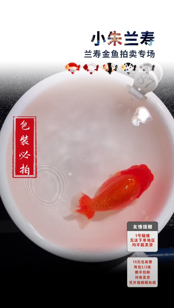金鱼包装必拍未拍顺丰到付87号