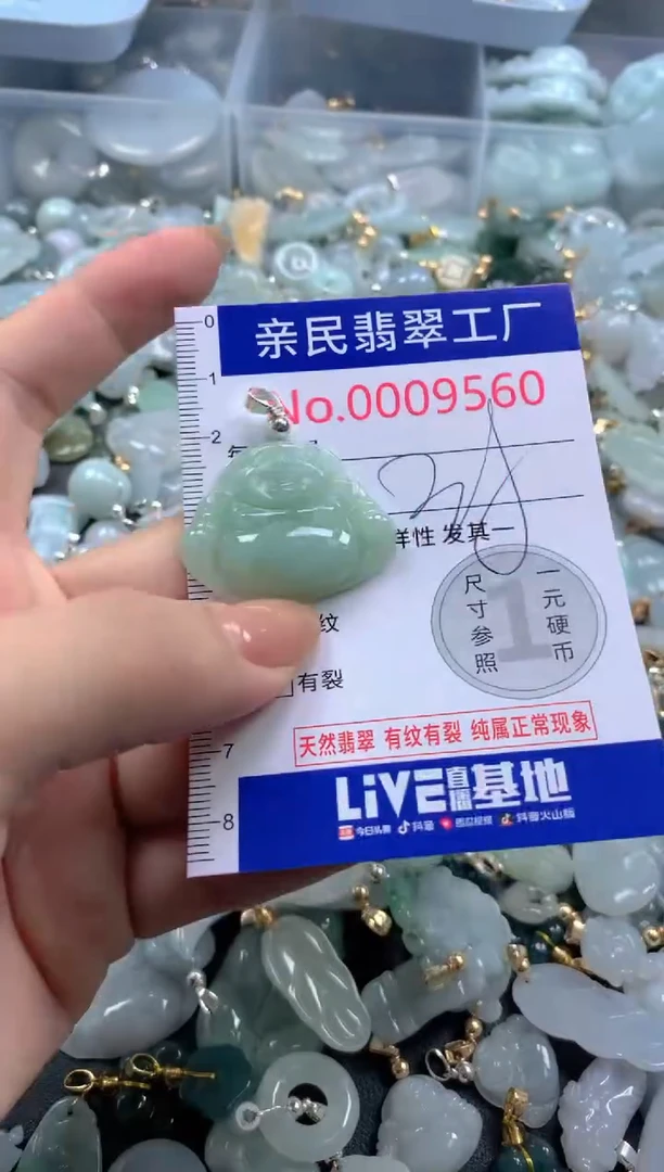 颈饰未镶嵌翡翠9560
