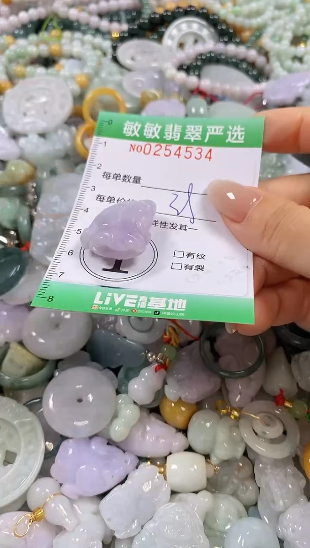 翡翠未镶嵌颈饰闪购0254534