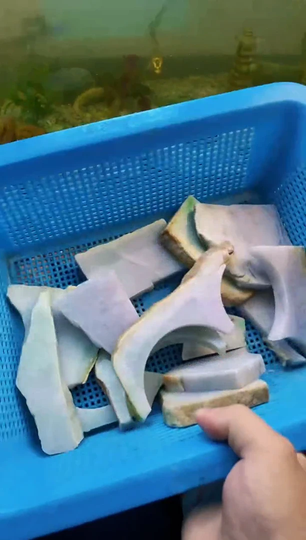 【闪购商品】翡翠颈饰未镶嵌100天然翡翠