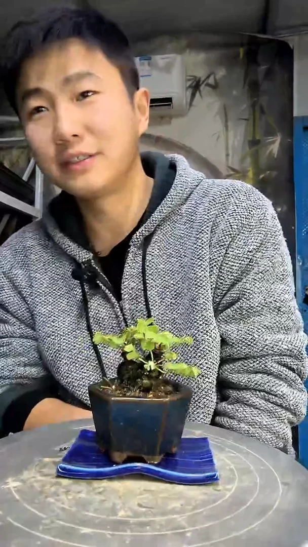 图*_中青园艺一物一拍花5