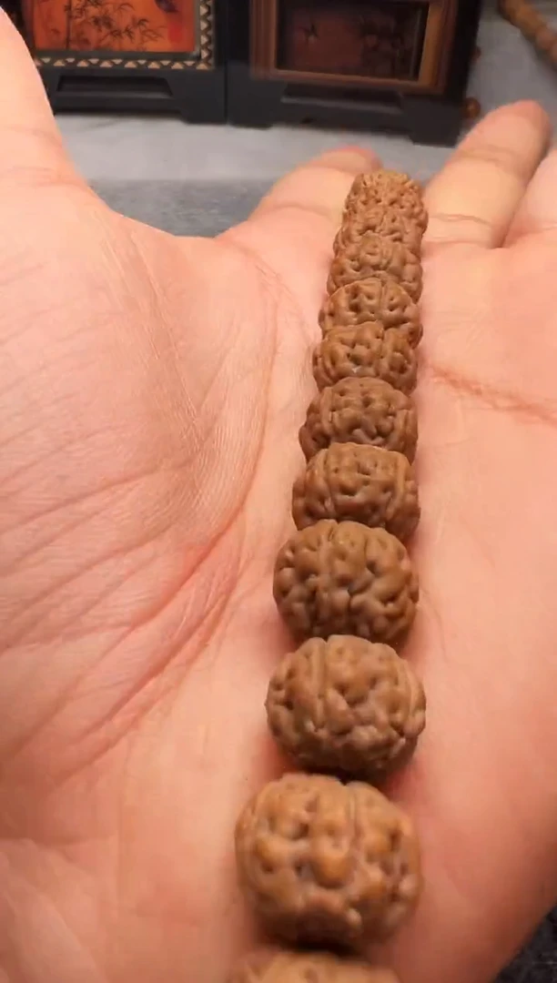 金刚菩提吊坠老树王10-12mm左右