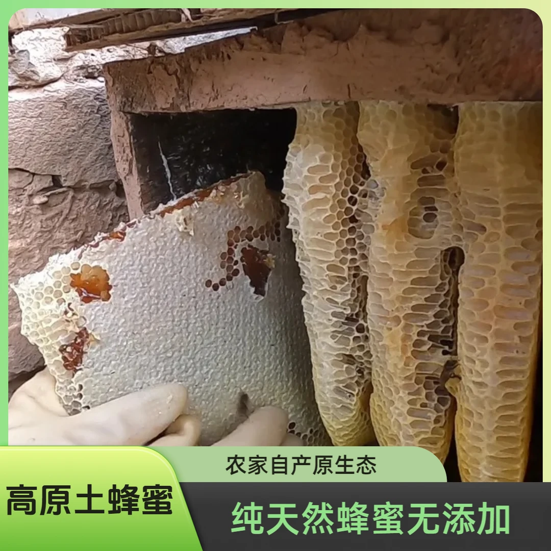 【阿斌优选】2025年高原正宗原生态土蜂蜜  一年取一次1斤起拍包邮