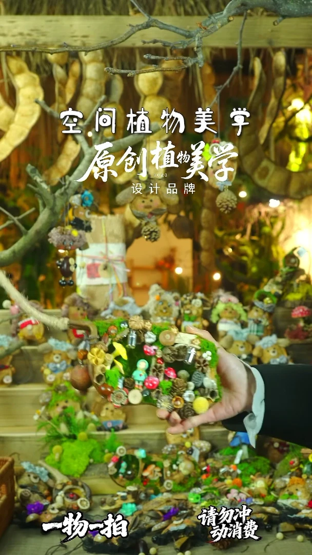 香榧木豆荚娃娃一物一拍