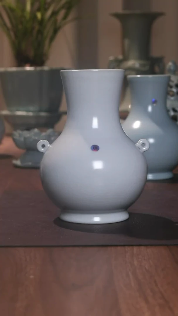 双系圆壶········