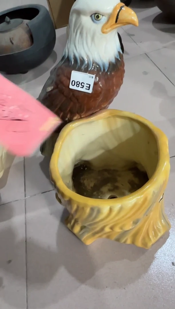 【闪购商品】瓷片580.不退不换，谨慎参拍