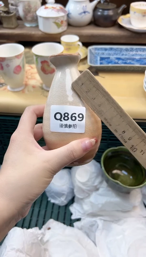 瓷片木* 869