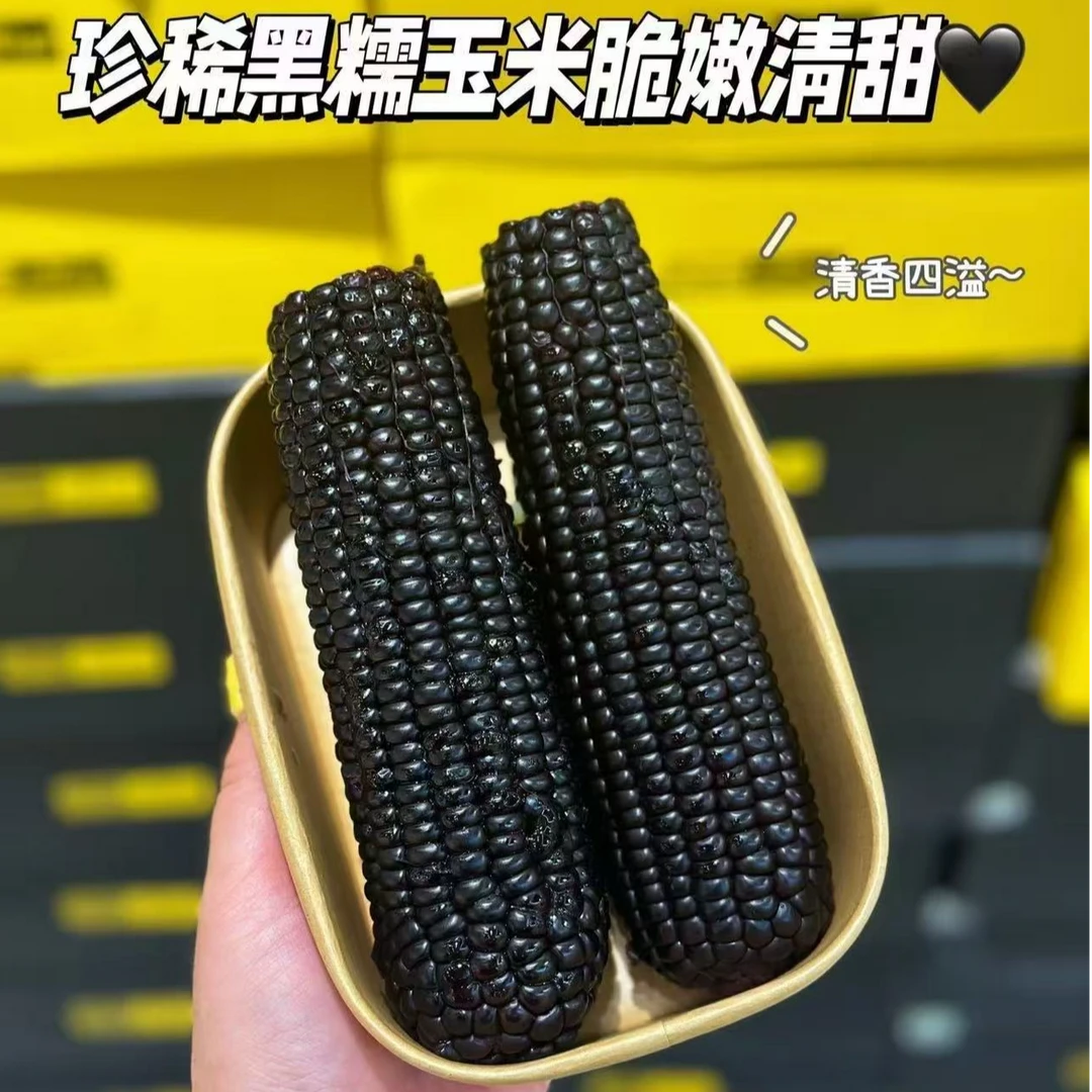 【劲爆单品】鲜食黑糯玉米 经典软糯 清甜 一袋1.3千克黑糯玉米黑龙江省