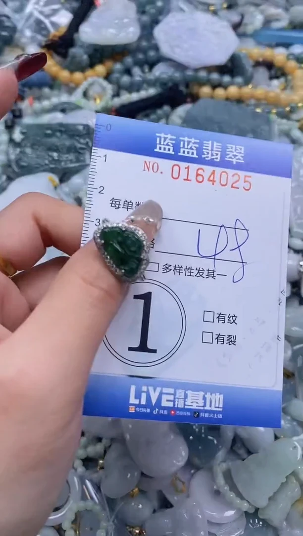 【闪购商品】翡翠颈饰未镶嵌闪购0164025