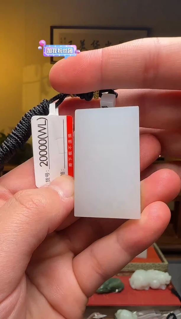 颈饰未镶嵌和田玉WL