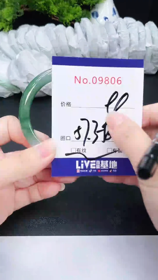 未镶嵌手镯翡翠9806
