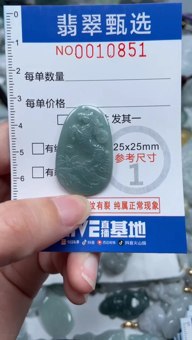 颈饰未镶嵌翡翠10851