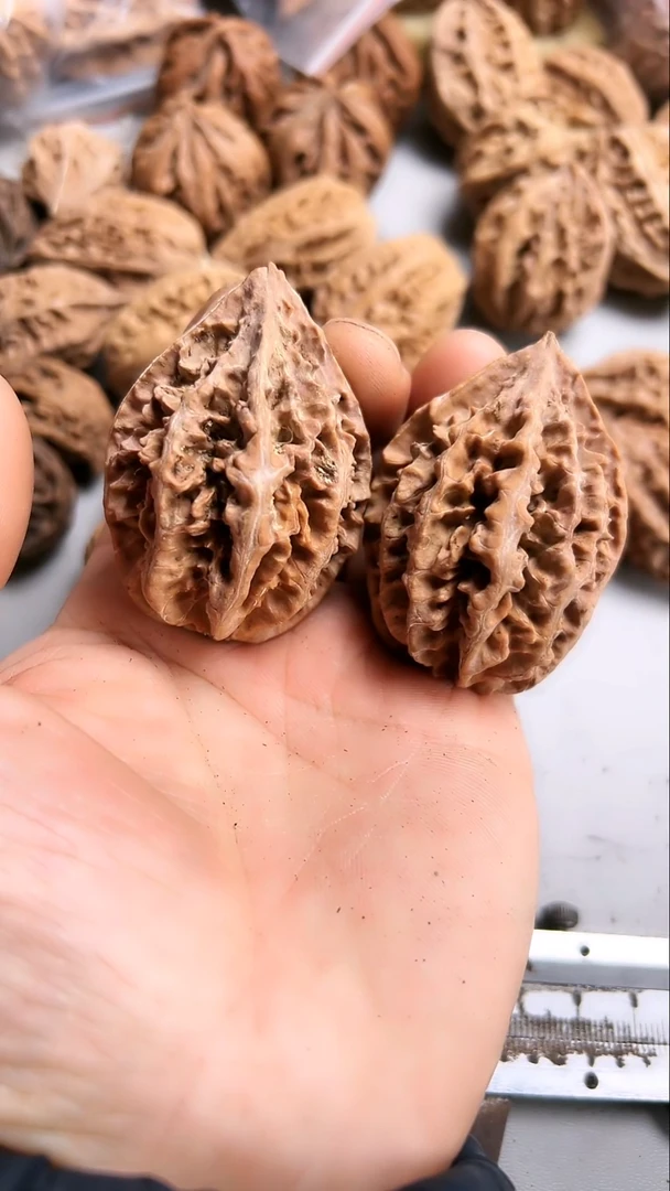 核桃东北野生大秋子3