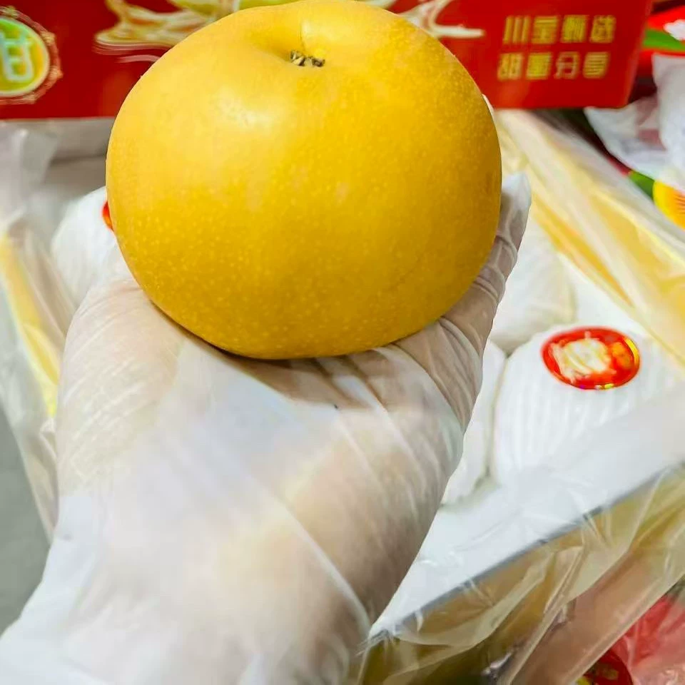【爆甜】正宗川宝秋月梨特级皮薄肉厚大脆甜新鲜水果礼盒梨子整箱山东省