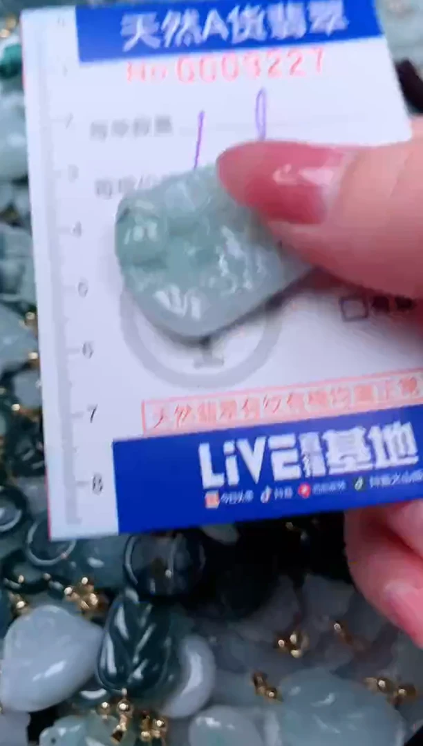 【闪购商品】翡翠颈饰未镶嵌00009227