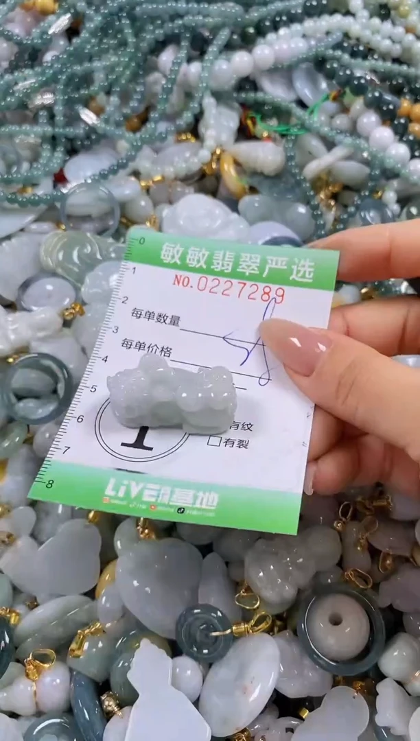 翡翠未镶嵌颈饰闪购0227289