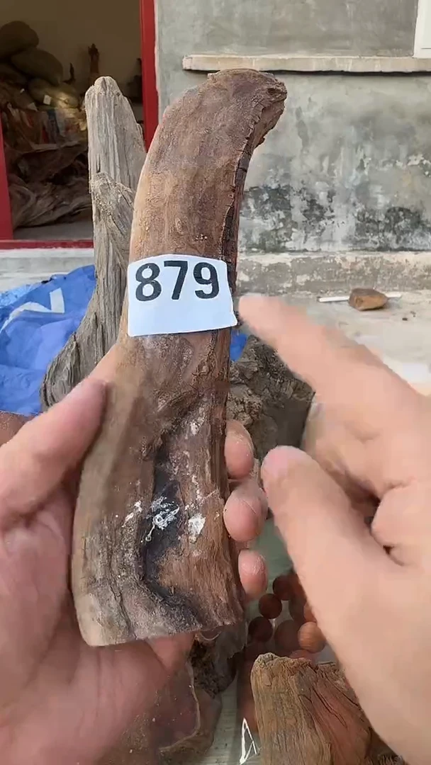 柏木（崖柏）太行陈化崖柏香片！随机一片！（1单1片）879