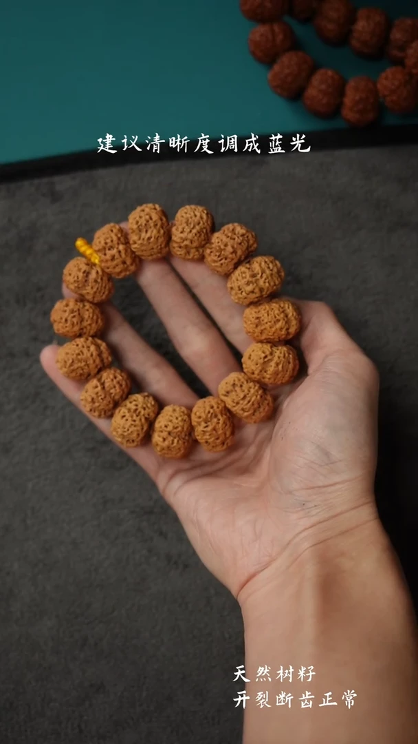 【闪购商品】金刚菩提手串五星双龙夹板大金刚24左右-99