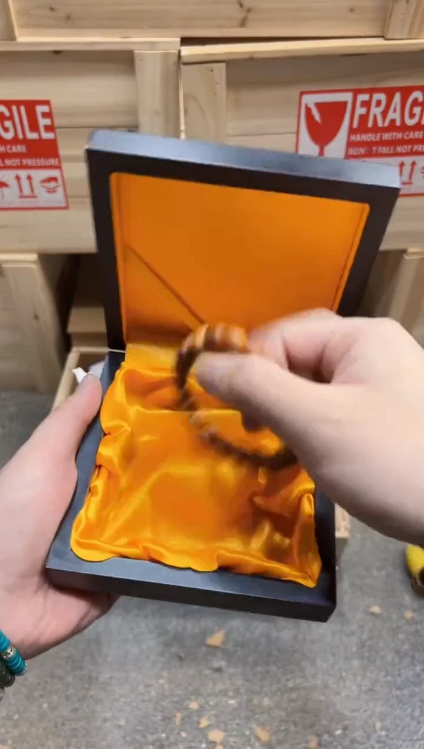 陈氏文玩云仓木制类手串无礼盒YS1522