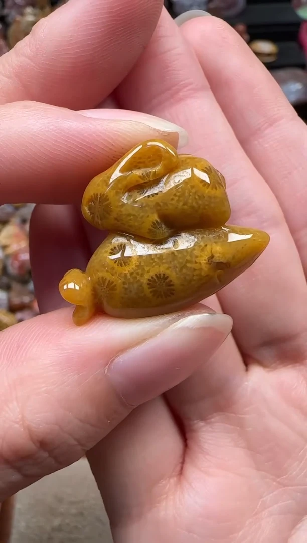 颈饰未镶嵌硅化珊瑚（珊瑚玉）556